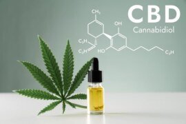 The Journey of CBD Products and Its Implications for Branding