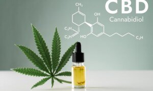 The Journey of CBD Products and Its Implications for Branding